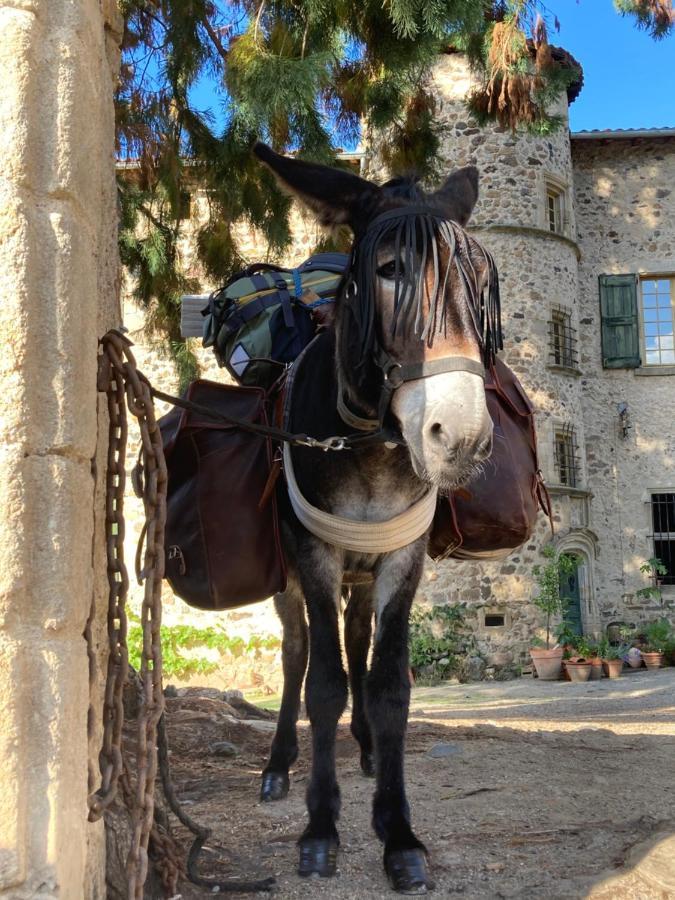 Chateau Paysan Ecolobio De Durianne Le Monteil  Exterior foto