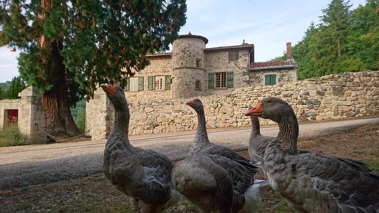 Chateau Paysan Ecolobio De Durianne Le Monteil  Exterior foto